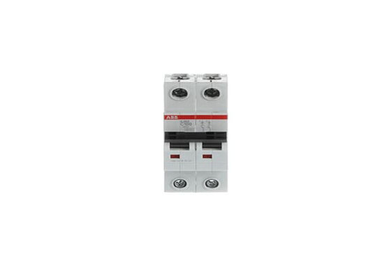 ABB S202-C100 2CDS252001R0824 S202-C100 ミニチュア断路機 - 2P - C - 100A